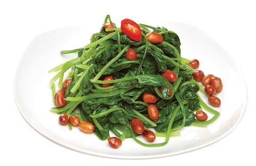 廈門(mén)工廠(chǎng)團(tuán)膳配送與婚慶禮儀服務(wù) 欣泰德食堂的一站式解決方案